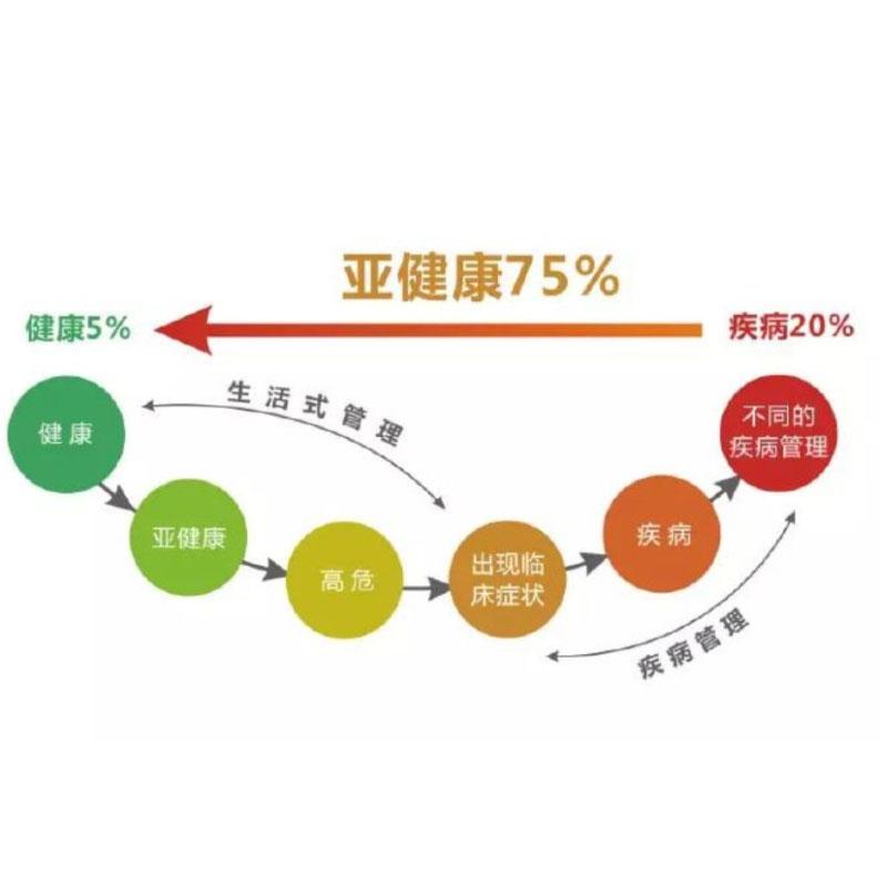 亚健康恢复课程