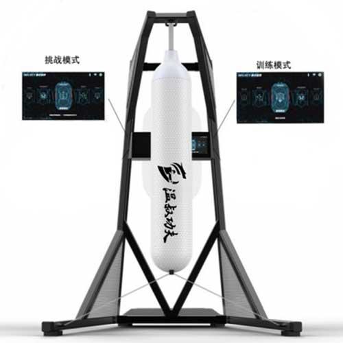 The Kung Fu and Martial Arts Industry Enters a New Phase of Integrated Development